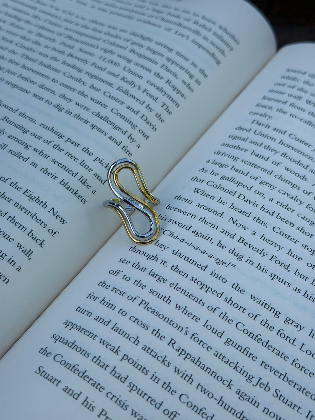Dual Motion Ring