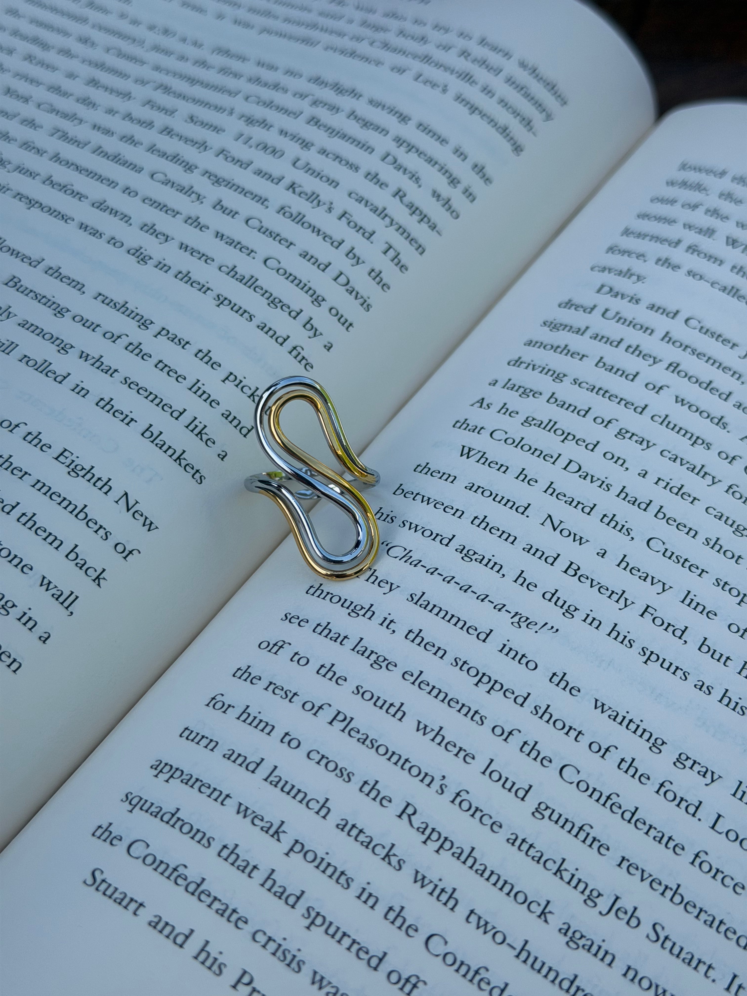 Dual Motion Ring