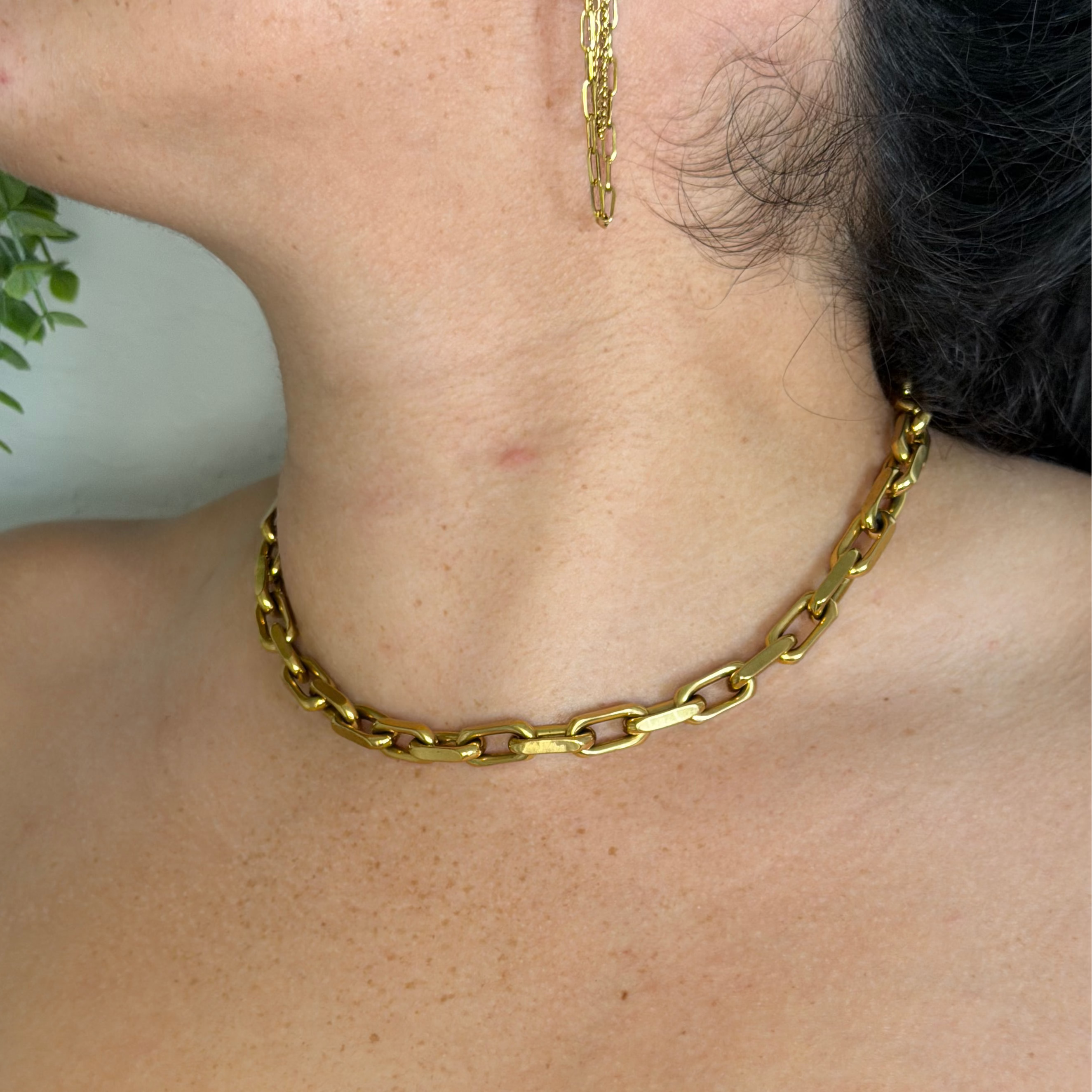 The Bold Signature Chain